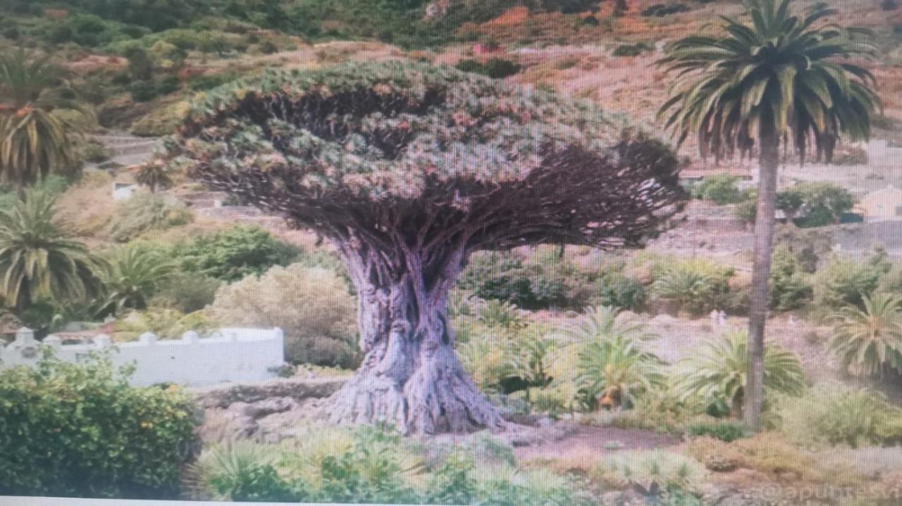Tradicional Casa Canaria Con Piscina Y Vistas Al Teide 이코드레로스비노스 외부 사진